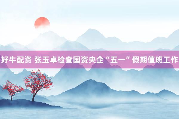 好牛配资 张玉卓检查国资央企“五一”假期值班工作