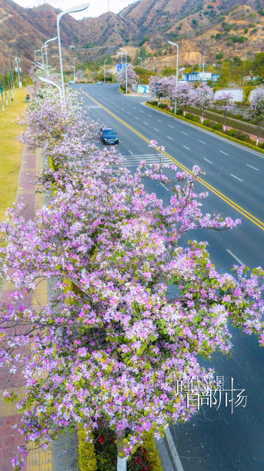 微信图片_20250407082620