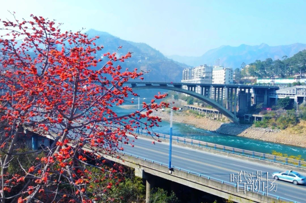 鼎盛配资 时代光影 百部川扬 | 四月的攀枝花