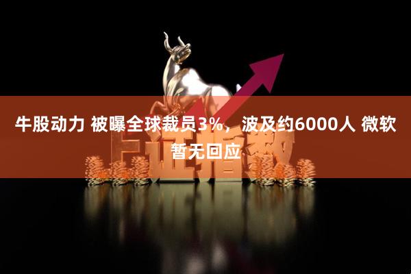 牛股动力 被曝全球裁员3%，波及约6000人 微软暂无回应