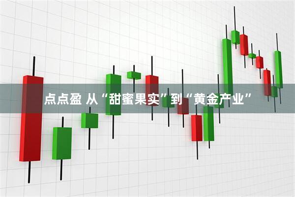 点点盈 从“甜蜜果实”到“黄金产业”